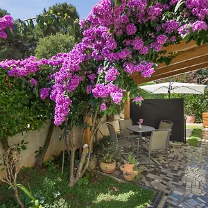 Piccola Pineta Apartament